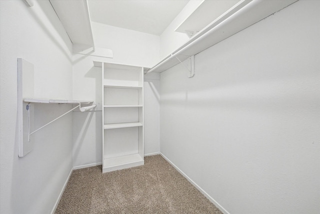 walk in closet featuring light colored carpet