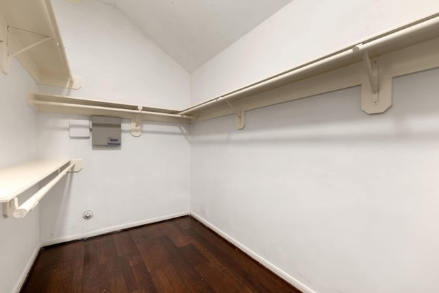 walk in closet featuring vaulted ceiling and dark hardwood / wood-style flooring