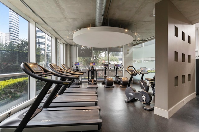 exercise room featuring a wall of windows