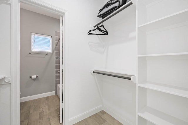 spacious closet featuring light hardwood / wood-style flooring