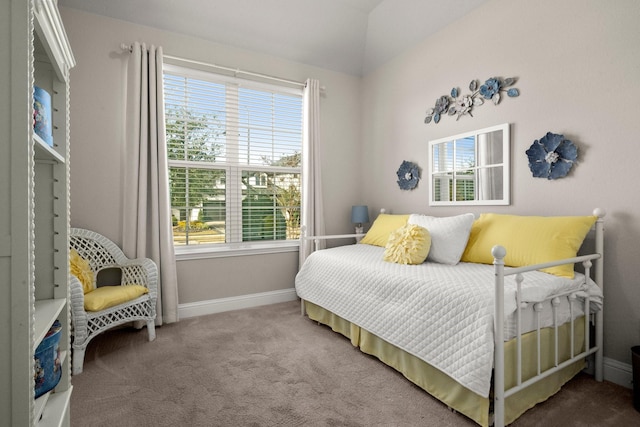 bedroom with carpet floors