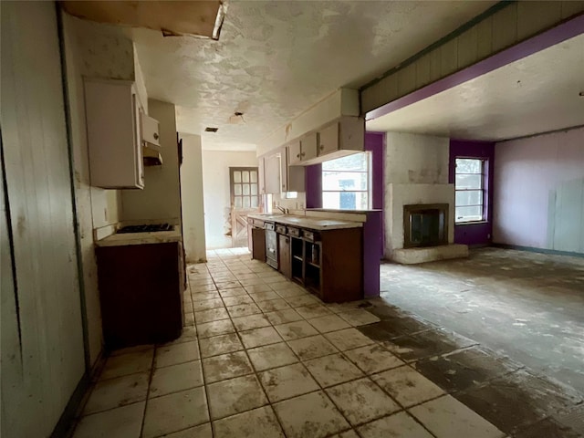 kitchen featuring dishwasher