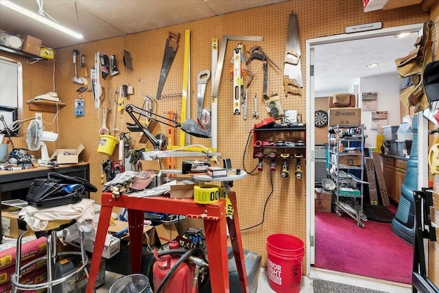 miscellaneous room featuring carpet flooring and a workshop area