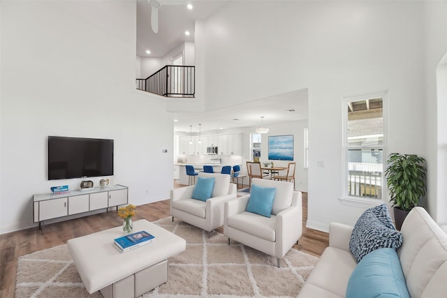 living room featuring light hardwood / wood-style floors and a high ceiling