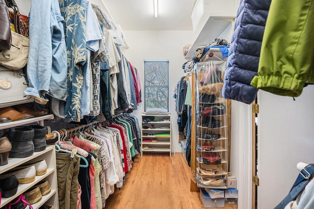 spacious closet featuring light wood-type flooring