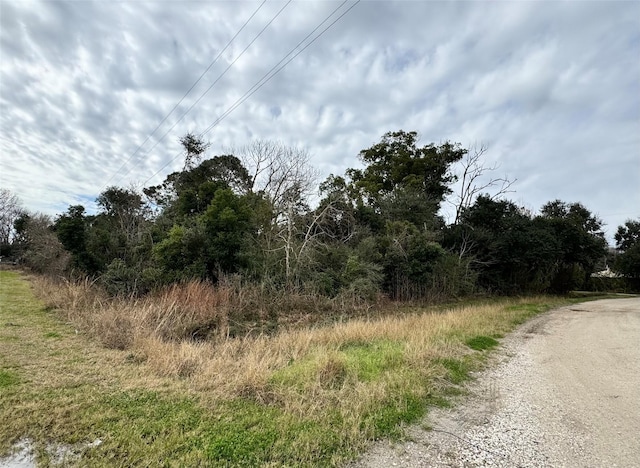 LOT9 Shannon, Hitchcock TX, 77563 land for sale