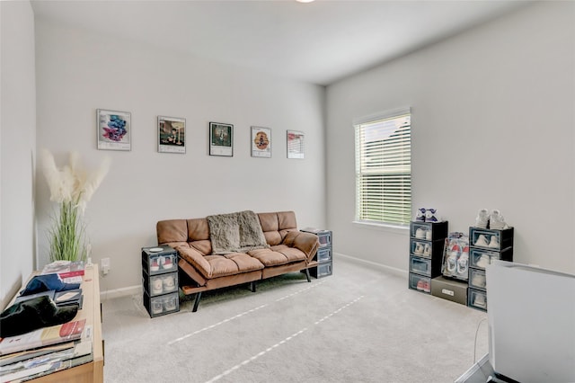 living room featuring carpet flooring