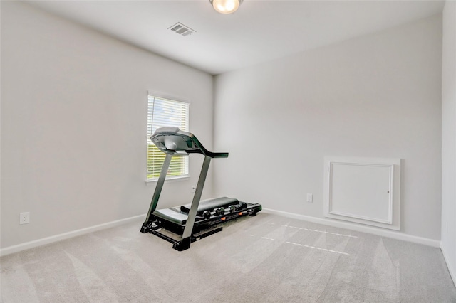 exercise area featuring light colored carpet