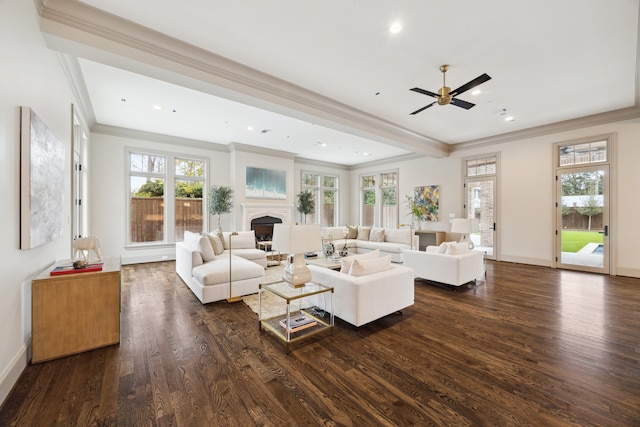 living room featuring dark wood-type flooring and a wealth of natural light