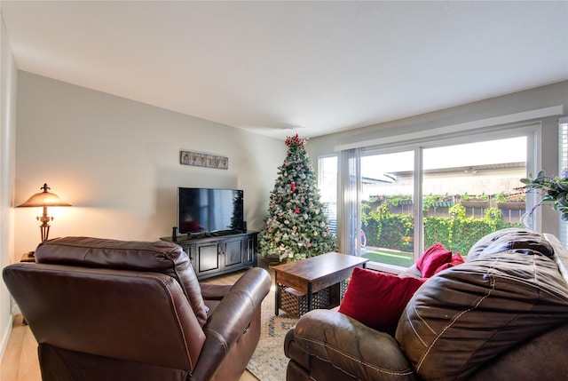 living room with hardwood / wood-style floors