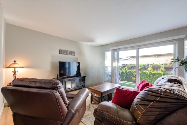 living room with wood-type flooring