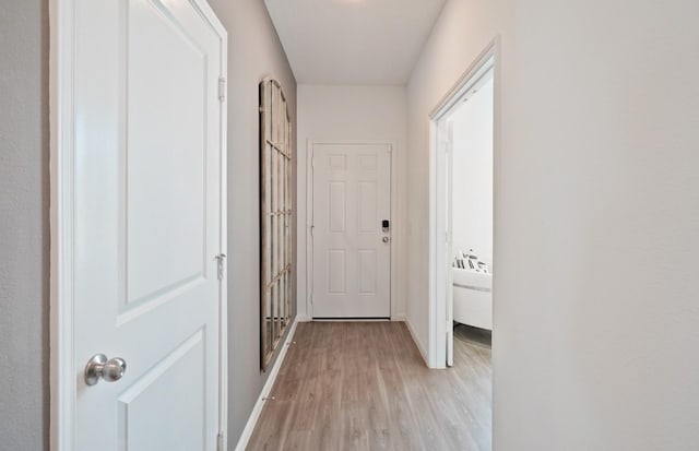 hall with light hardwood / wood-style flooring