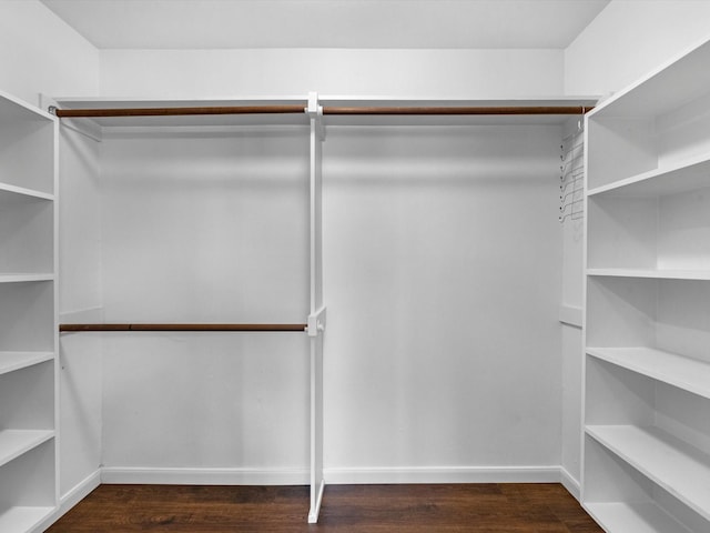 spacious closet featuring dark wood-type flooring