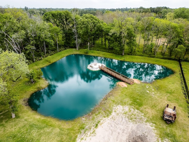 view of swimming pool with a water view