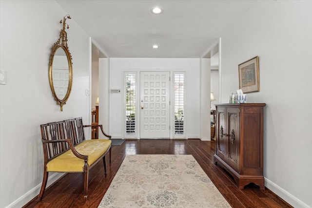 entrance foyer featuring dark wood-type flooring