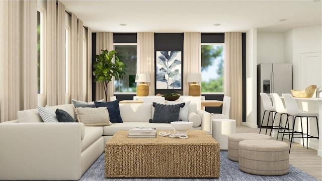 living room featuring light hardwood / wood-style floors