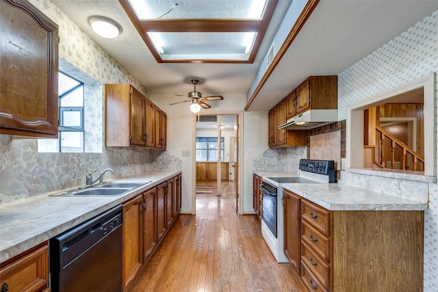 kitchen with ceiling fan, dishwasher, light hardwood / wood-style floors, sink, and white electric range oven