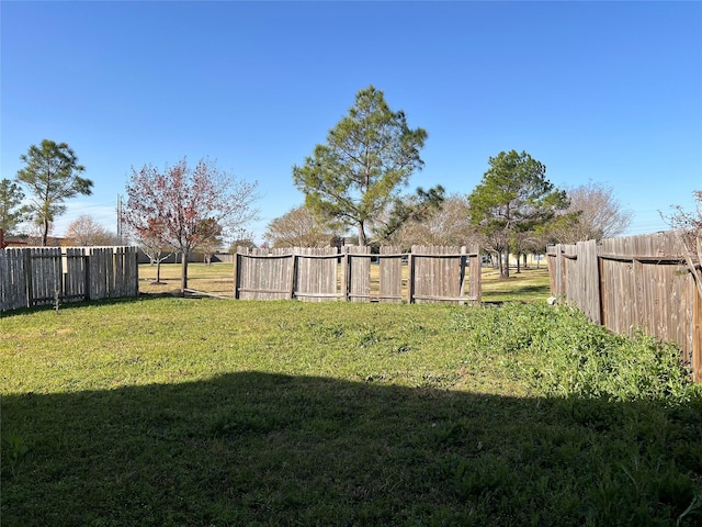 view of yard