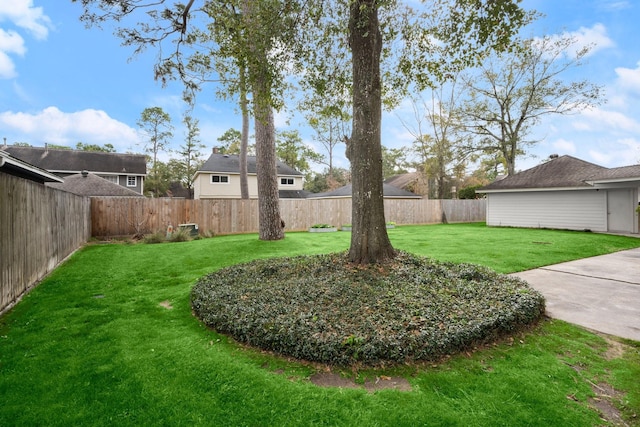 view of yard featuring a patio