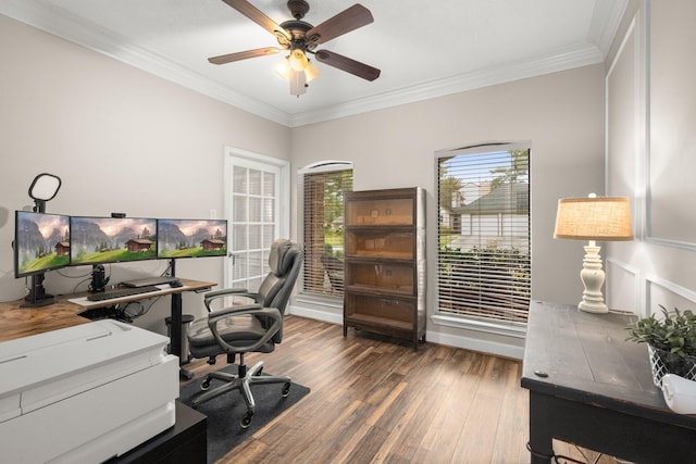 home office with ceiling fan, dark hardwood / wood-style flooring, and ornamental molding