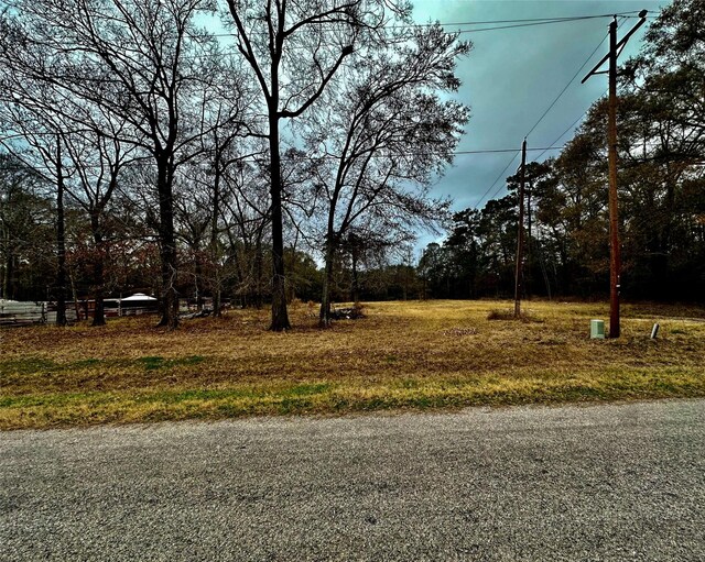 Listing photo 3 for 1739 County Road 373, Splendora TX 77372