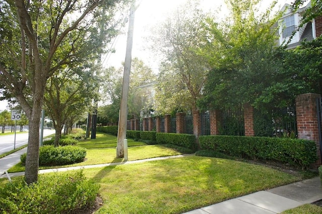 view of community featuring a lawn