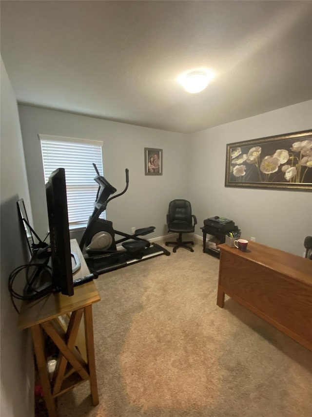 workout area with light carpet