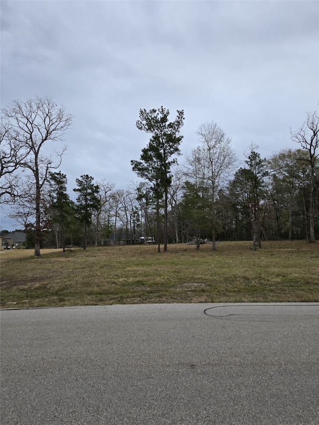 Listing photo 3 for 00 Dahlia Rd, Huntsville TX 77320