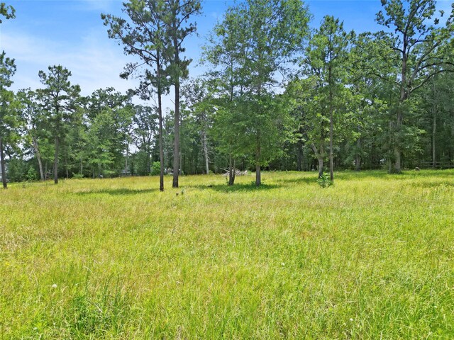 00 Dahlia Rd, Huntsville, TX 77320 - photo 3