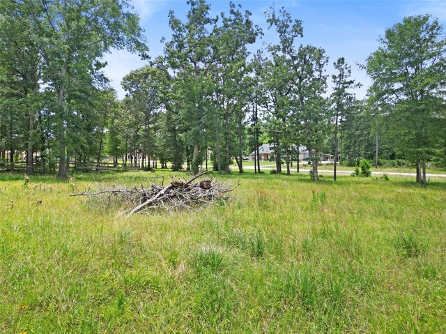 00 Dahlia Rd, Huntsville, TX 77320 - photo 4