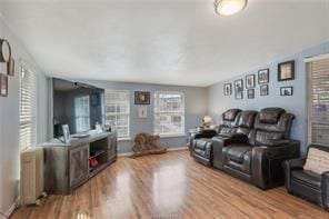 living room with light wood-type flooring, a wealth of natural light, and radiator heating unit