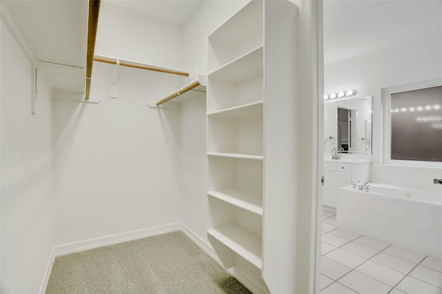 view of spacious closet