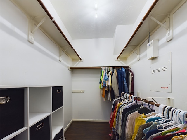 walk in closet with dark hardwood / wood-style floors