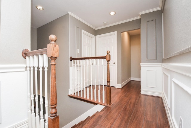 hallway with crown molding and dark hardwood / wood-style floors