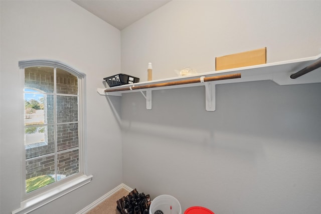 spacious closet with carpet flooring