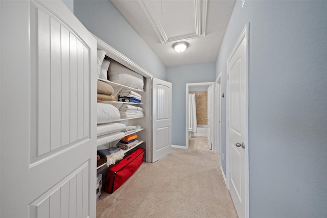 spacious closet featuring light carpet