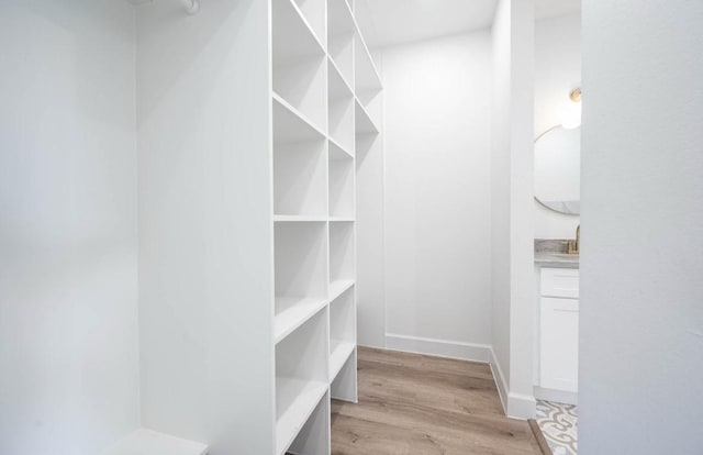 spacious closet with light wood-type flooring