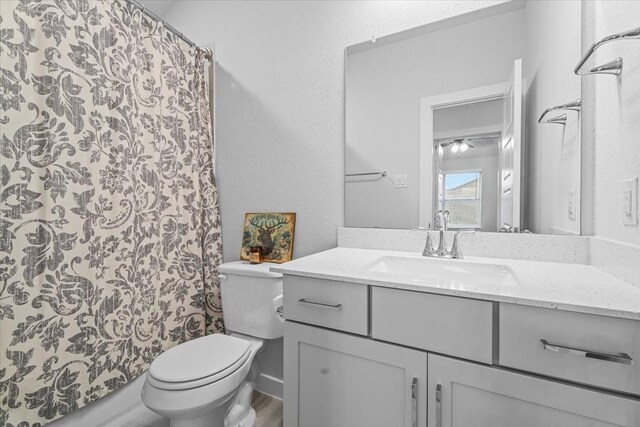 bathroom with vanity, toilet, and wood-type flooring