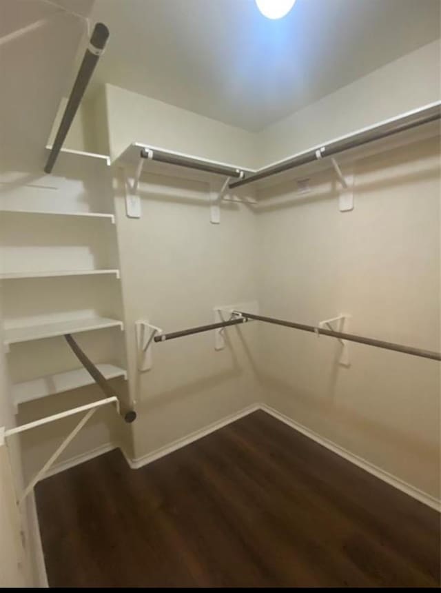 walk in closet featuring dark hardwood / wood-style flooring