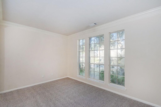 empty room with carpet and ornamental molding