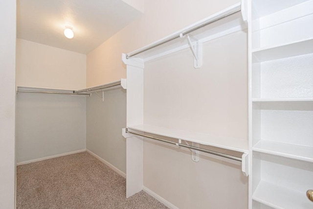 walk in closet featuring light colored carpet