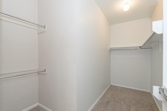 spacious closet with light carpet