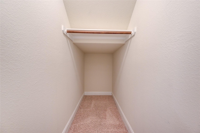 spacious closet featuring light colored carpet