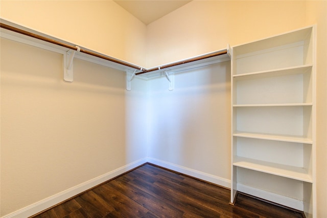 walk in closet with dark hardwood / wood-style floors