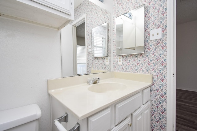 bathroom with toilet and vanity