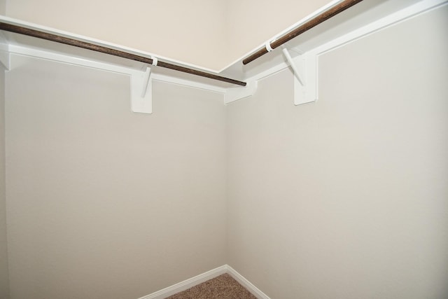 walk in closet featuring carpet floors