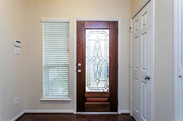 foyer featuring a wealth of natural light