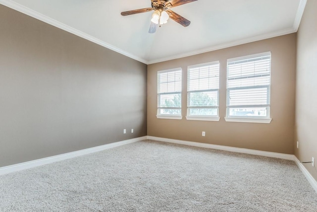 spare room featuring ceiling fan, carpet floors, and crown molding