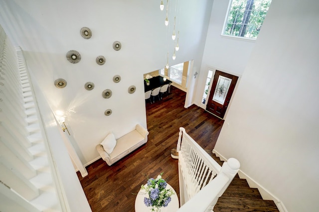 foyer entrance featuring dark wood-type flooring