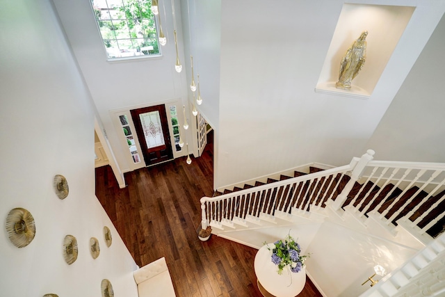 entryway with a towering ceiling and dark hardwood / wood-style flooring